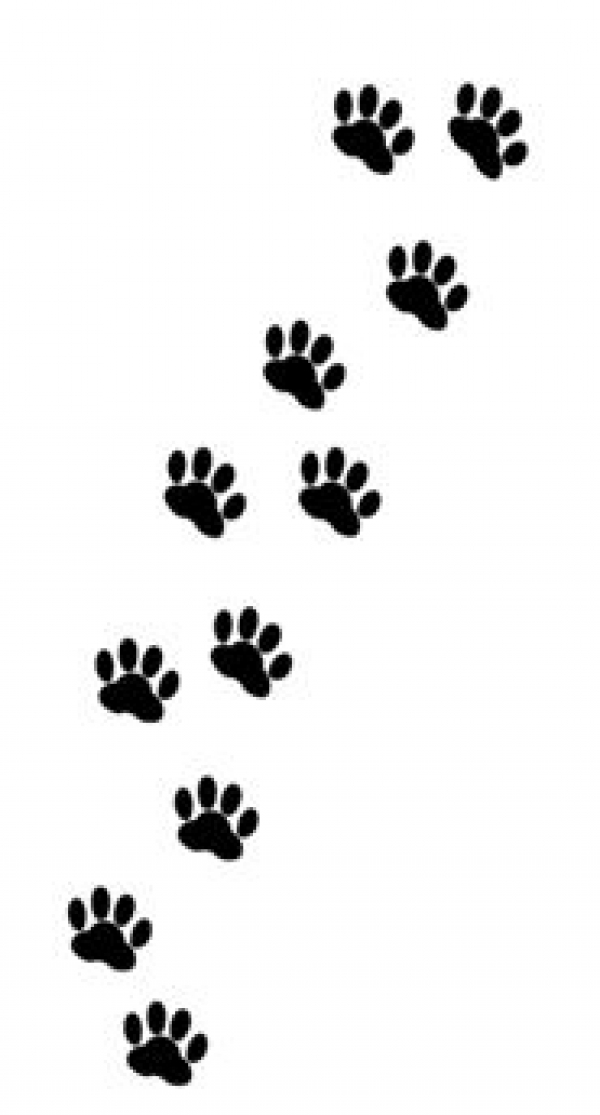 夏休みおはなし会のおしらせ