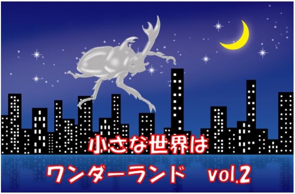 夏休み子どもえいが会のおしらせ