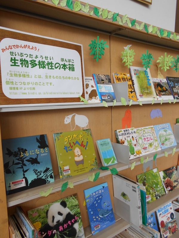 市立児童展示『生物多様性の本箱』